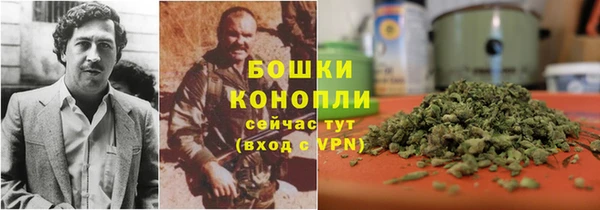 бошки Новодвинск