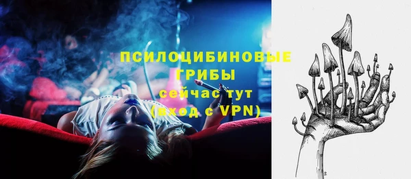 бошки Новодвинск