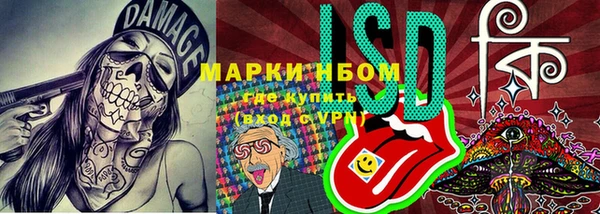 бошки Новодвинск