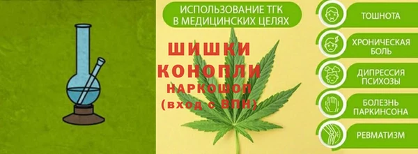 бошки Новодвинск