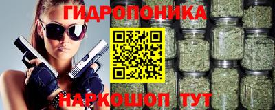 гашик Берёзовский