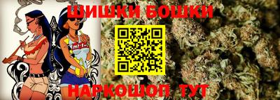 шишки Аргун