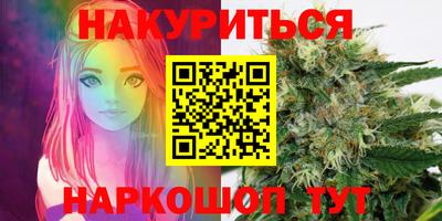 шишки Аргун