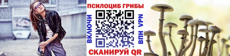 как найти закладки  Кириши  Галлюциногенные грибы мицелий 