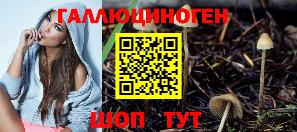 Псилоцибиновые грибы GOLDEN TEACHER Кириши