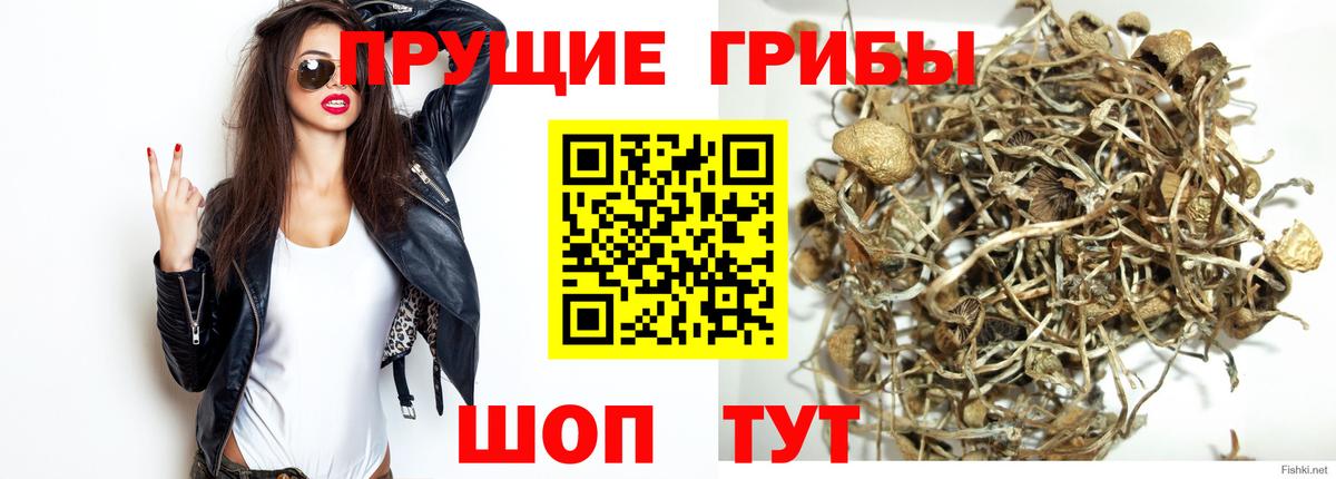 Кириши  Псилоцибиновые грибы Psilocybine cubensis  как найти   Вход с VPN  Псилоцибиновые грибы Cubensis 